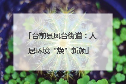 台前县凤台街道：人居环境“焕”新颜