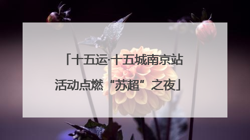 十五运·十五城南京站活动点燃“苏超”之夜