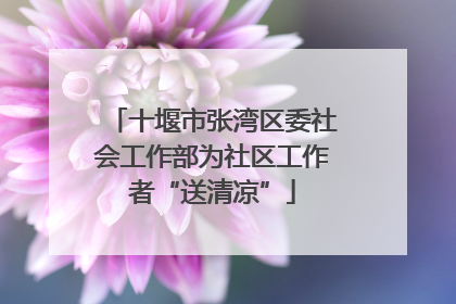 十堰市张湾区委社会工作部为社区工作者“送清凉”