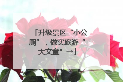 升级景区“小公厕”，做实旅游“大文章”→