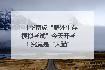 华南虎“野外生存模拟考试”今天开考！究竟是“大猫” 还是顶级猎食者？