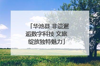 华池县 非遗邂逅数字科技 文旅绽放独特魅力