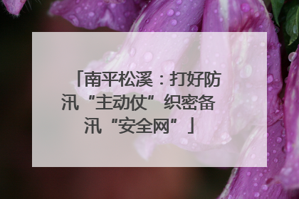 南平松溪：打好防汛“主动仗”织密备汛“安全网”