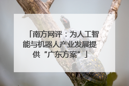 南方网评：为人工智能与机器人产业发展提供“广东方案”