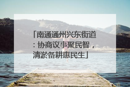 南通通州兴东街道：协商议事聚民智，清淤备耕惠民生