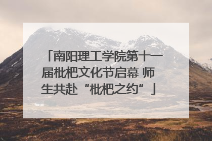 南阳理工学院第十一届枇杷文化节启幕 师生共赴“枇杷之约”
