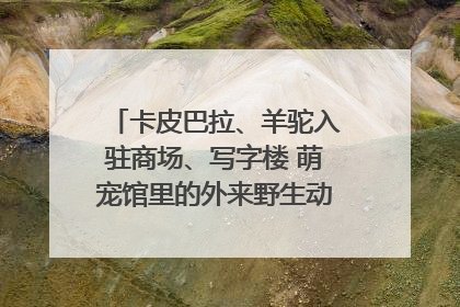 卡皮巴拉、羊驼入驻商场、写字楼 萌宠馆里的外来野生动物暗藏哪些隐患？