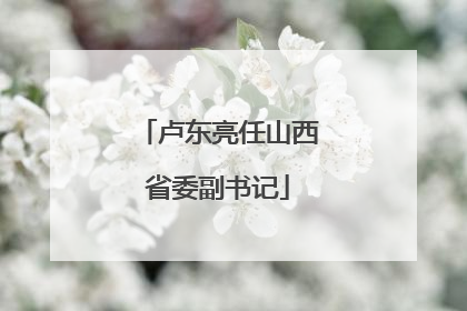 卢东亮任山西省委副书记