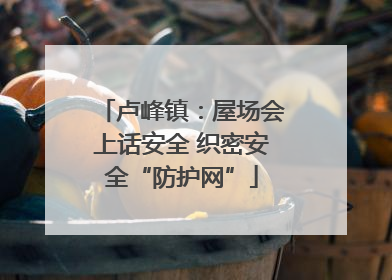 卢峰镇：屋场会上话安全 织密安全“防护网”