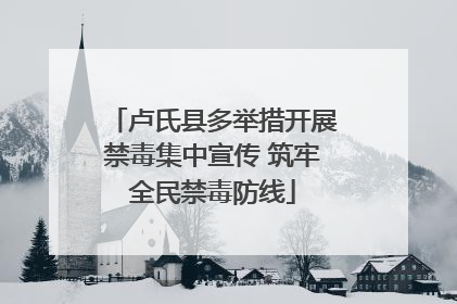 卢氏县多举措开展禁毒集中宣传 筑牢全民禁毒防线