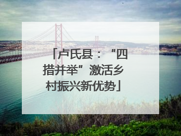卢氏县：“四措并举”激活乡村振兴新优势
