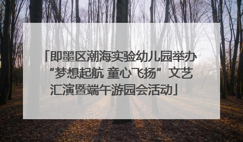 即墨区潮海实验幼儿园举办“梦想起航 童心飞扬”文艺汇演暨端午游园会活动