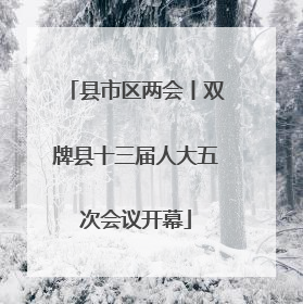 县市区两会丨双牌县十三届人大五次会议开幕