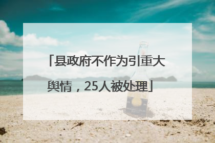 县政府不作为引重大舆情，25人被处理