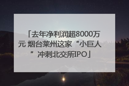 去年净利润超8000万元 烟台莱州这家“小巨人”冲刺北交所IPO