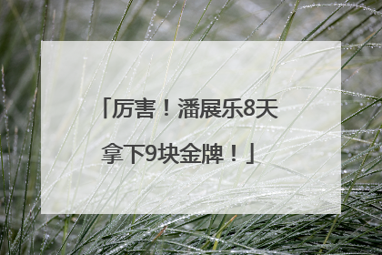厉害！潘展乐8天拿下9块金牌！