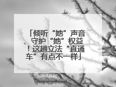 倾听“她”声音、守护“她”权益！这趟立法“直通车”有点不一样
