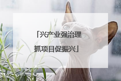 兴产业强治理 抓项目促振兴