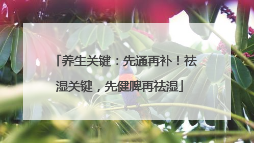 养生关键：先通再补！祛湿关键，先健脾再祛湿