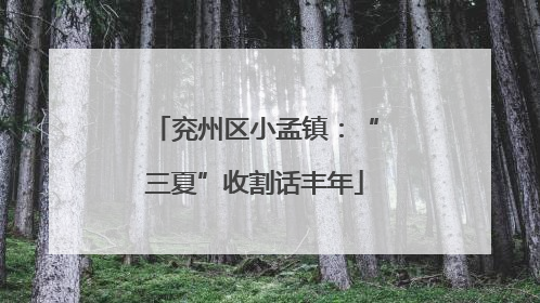 兖州区小孟镇：“三夏”收割话丰年