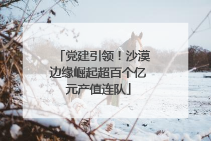 党建引领！沙漠边缘崛起超百个亿元产值连队