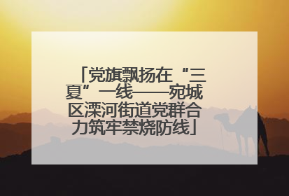 党旗飘扬在“三夏”一线——宛城区溧河街道党群合力筑牢禁烧防线