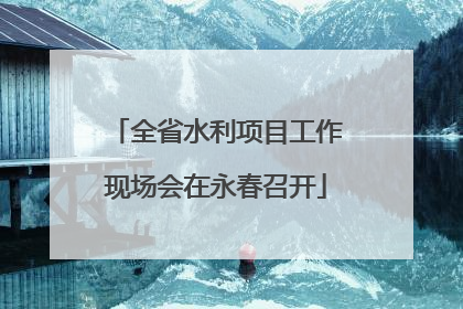 全省水利项目工作现场会在永春召开