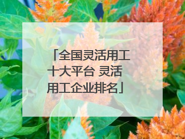 全国灵活用工十大平台 灵活用工企业排名