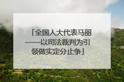 全国人大代表马丽——以司法裁判为引领做实定分止争
