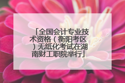 全国会计专业技术资格（衡阳考区）无纸化考试在湖南财工职院举行