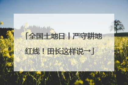 全国土地日丨严守耕地红线！田长这样说→