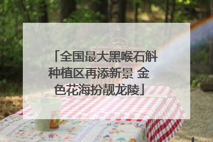 全国最大黑喉石斛种植区再添新景 金色花海扮靓龙陵