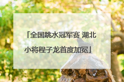 全国跳水冠军赛 湖北小将程子龙首度加冕
