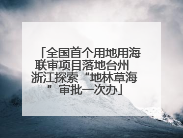 全国首个用地用海联审项目落地台州 浙江探索“地林草海”审批一次办