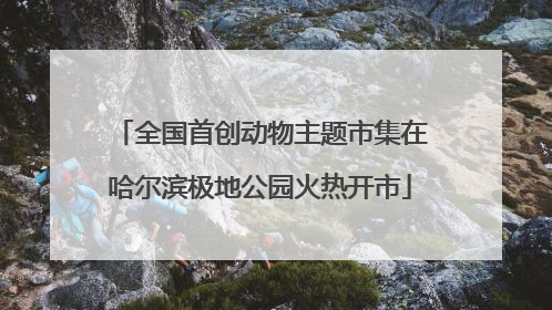 全国首创动物主题市集在哈尔滨极地公园火热开市