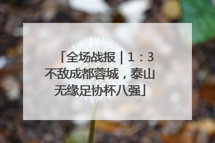 全场战报｜1：3不敌成都蓉城，泰山无缘足协杯八强