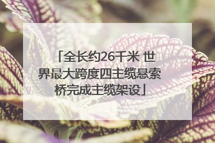 全长约26千米 世界最大跨度四主缆悬索桥完成主缆架设