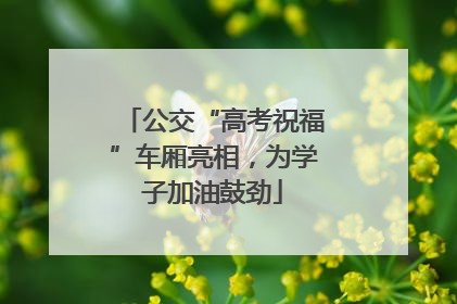 公交“高考祝福”车厢亮相，为学子加油鼓劲