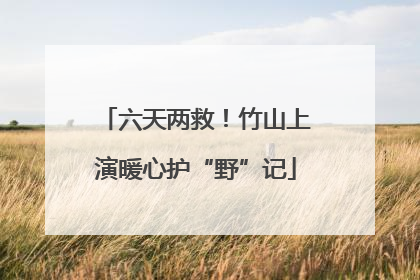 六天两救！竹山上演暖心护“野”记