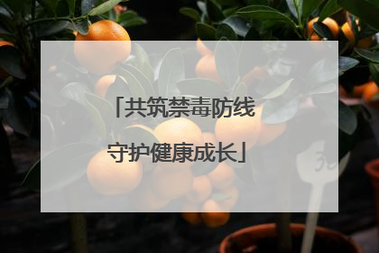共筑禁毒防线 守护健康成长