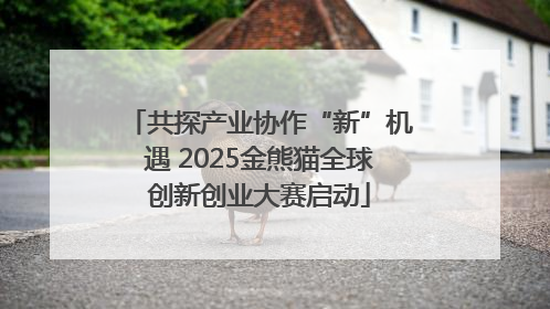 共探产业协作“新”机遇 2025金熊猫全球创新创业大赛启动