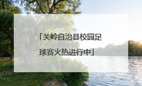关岭自治县校园足球赛火热进行中