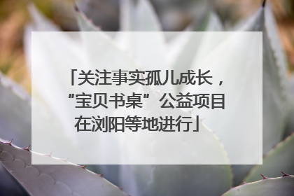 关注事实孤儿成长，“宝贝书桌”公益项目在浏阳等地进行