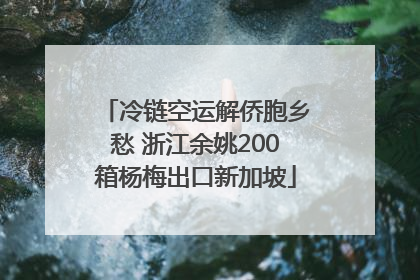冷链空运解侨胞乡愁 浙江余姚200箱杨梅出口新加坡