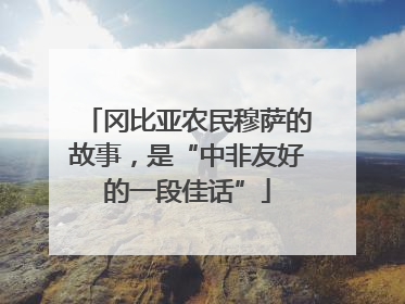 冈比亚农民穆萨的故事，是“中非友好的一段佳话”