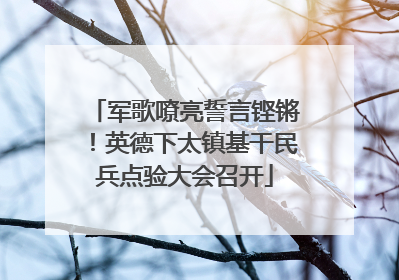 军歌嘹亮誓言铿锵！英德下太镇基干民兵点验大会召开