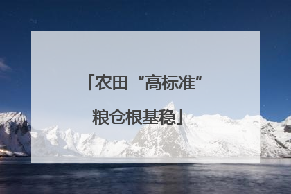 农田“高标准” 粮仓根基稳