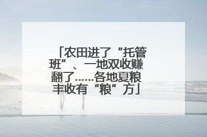 农田进了“托管班”、一地双收赚翻了……各地夏粮丰收有“粮”方