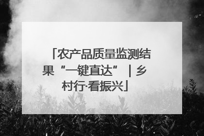 农产品质量监测结果“一键直达”｜乡村行·看振兴