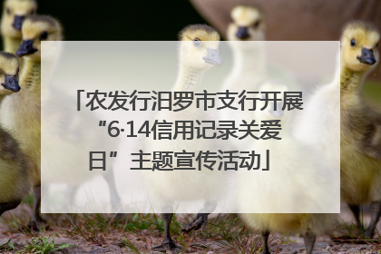 农发行汨罗市支行开展“6·14信用记录关爱日”主题宣传活动